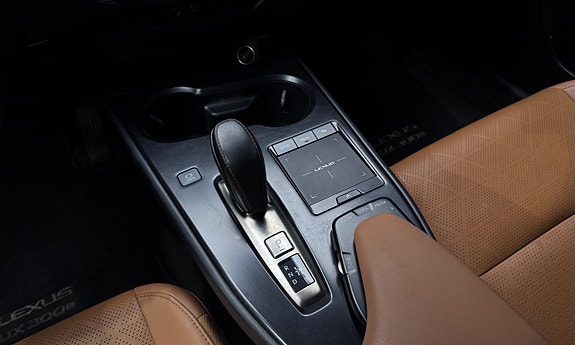 Lexus UX300e 24 of 30