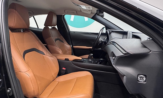 Lexus UX300e 17 of 30
