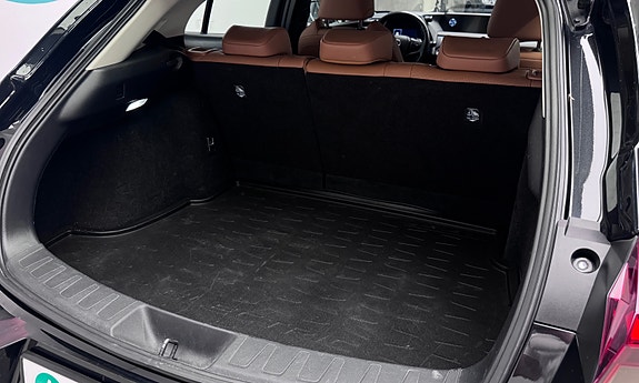 Lexus UX300e 12 of 30