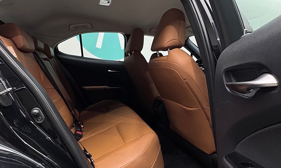 Lexus UX300e 18 of 30
