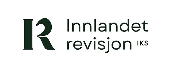 én eller flere revisorer logo