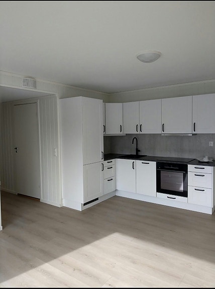 2 roms leilighet til leie
