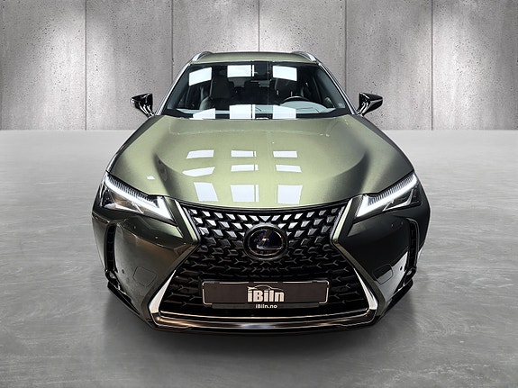 Lexus UX300e 3 of 28