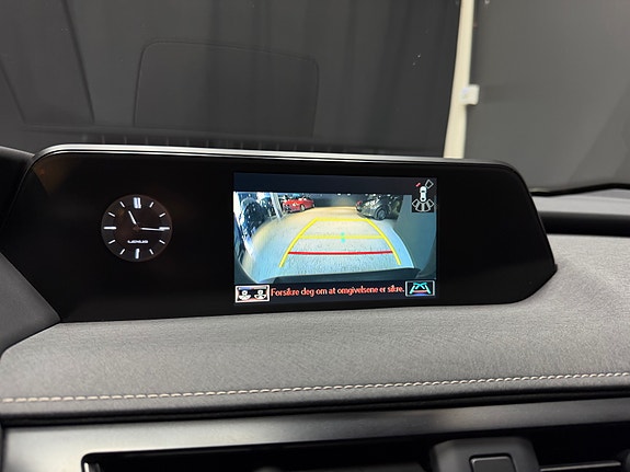 Lexus UX300e 21 of 28
