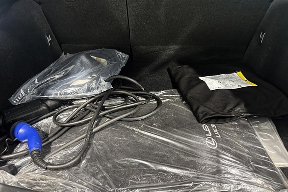 Lexus UX300e 12 of 20