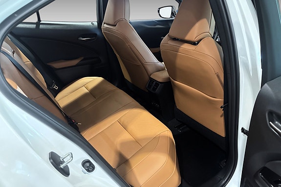 Lexus UX300e 8 of 20