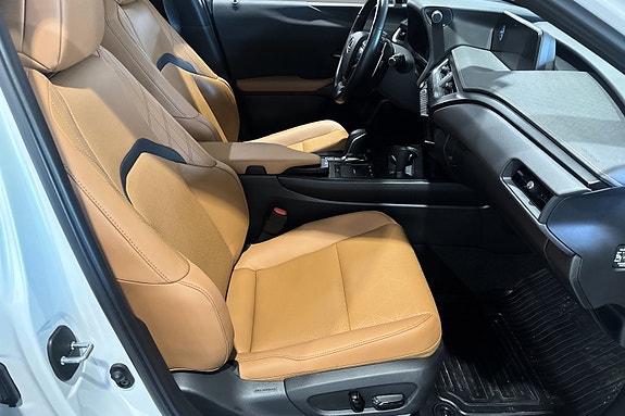 Lexus UX300e 9 of 20