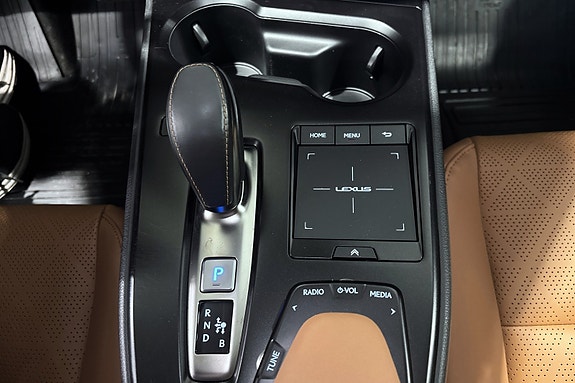 Lexus UX300e 18 of 20