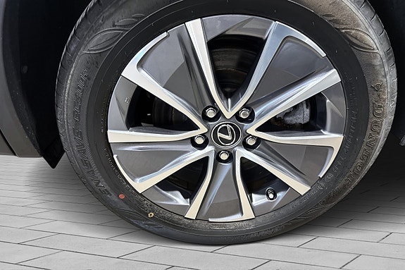 Lexus UX300e 19 of 20