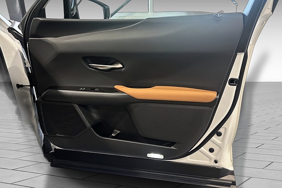 Lexus UX300e 20 of 20
