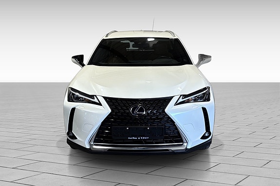 Lexus UX300e 6 of 20