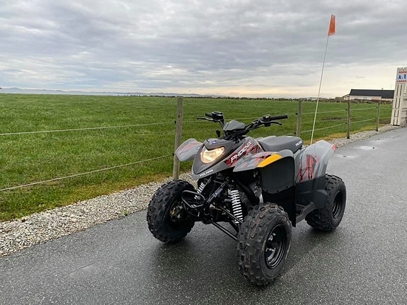 Polaris Phoenix 200 12 of 19