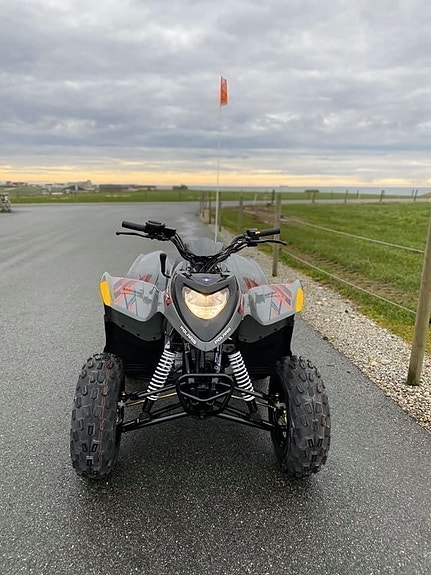 Polaris Phoenix 200 13 of 19