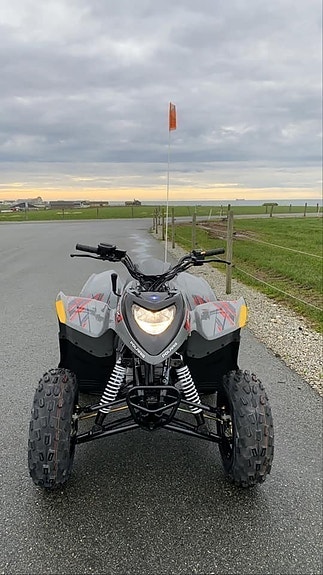 Polaris Phoenix 200 11 of 19