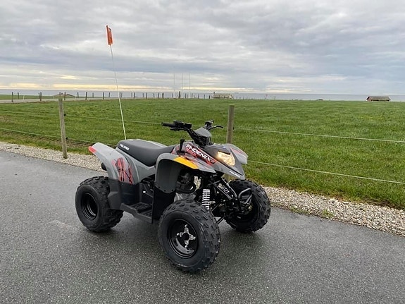 Polaris Phoenix 200 15 of 19