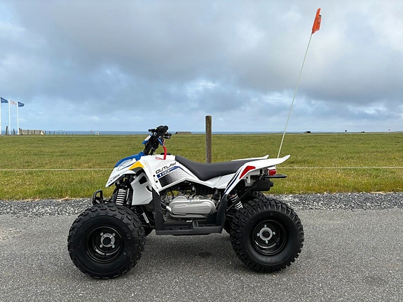 Polaris Outlaw 110 EFI 6 of 19
