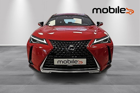 Lexus UX300e 18 of 25