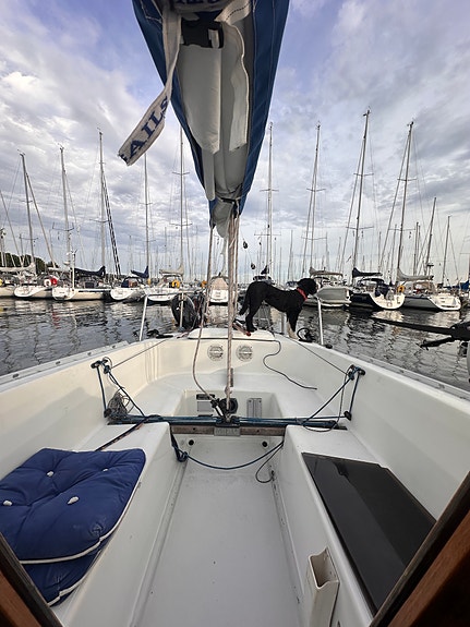 Veldig pen regatta- og turklar Express! 20 of 24