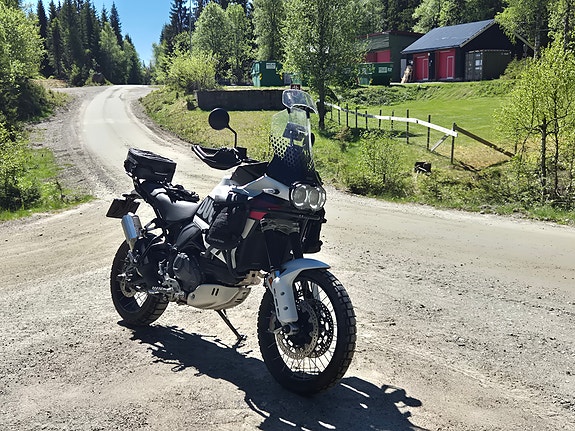 Ducati DesertX 19 of 19