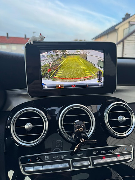 Mercedes-Benz C220 d 17 of 18