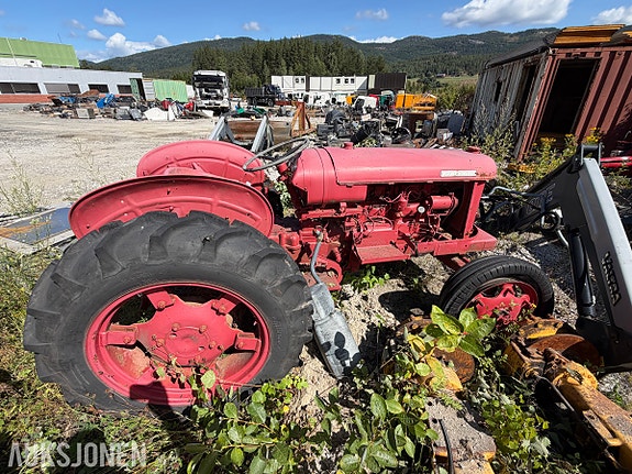Andre 1962 David Brown P 25 veterantraktor - bensinmotor - hydraulisk løfteapparat bak - kraftuttak og tre 6 of 30