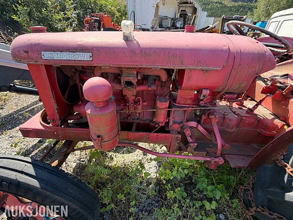 Andre 1962 David Brown P 25 veterantraktor - bensinmotor - hydraulisk løfteapparat bak - kraftuttak og tre 18 of 30