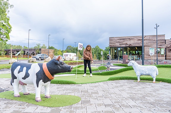 Bilde 4 av 10 i jobbannonse-galleriet