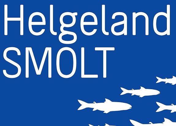 Dine hovedoppgaver vil være: logo