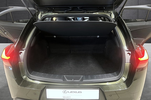 Lexus UX300e 21 of 21