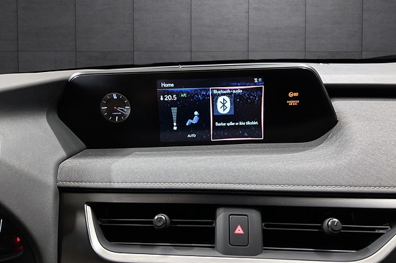Lexus UX300e 14 of 21