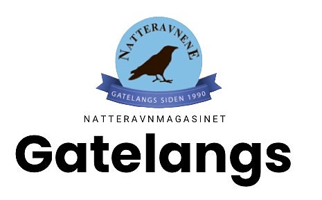Bilde 2 av 2 i jobbannonse-galleriet
