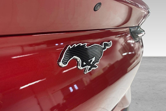Ford Mustang Mach-E 13 hos Sommerseth