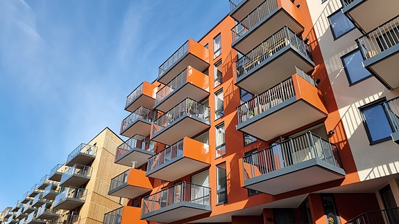 Bilde 2 av 6 i jobbannonse-galleriet
