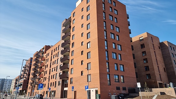 Bilde 4 av 6 i jobbannonse-galleriet