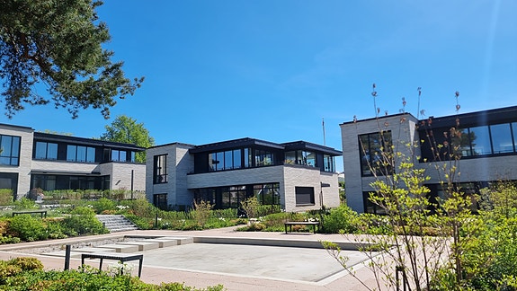 Bilde 1 av 6 i jobbannonse-galleriet