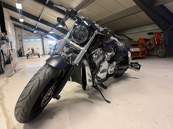 Harley-Davidson VRSCA V-ROD KARBON LOOK//NY SERVICE//NYE DEKK//LAV KM 6 of 12