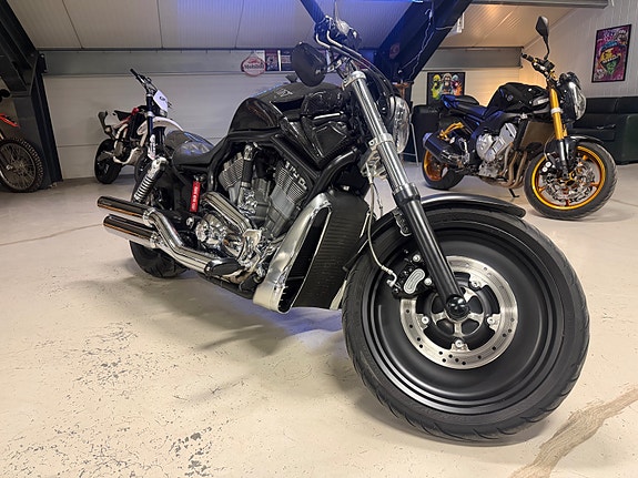 Harley-Davidson VRSCA V-ROD KARBON LOOK//NY SERVICE//NYE DEKK//LAV KM 7 of 12