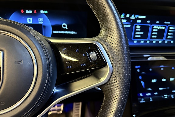 Hongqi E-HS9 21 of 30