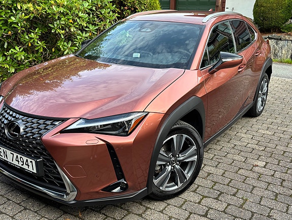 Lexus UX300e 2 of 12