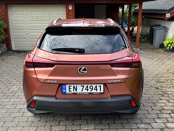 Lexus UX300e 6 of 12