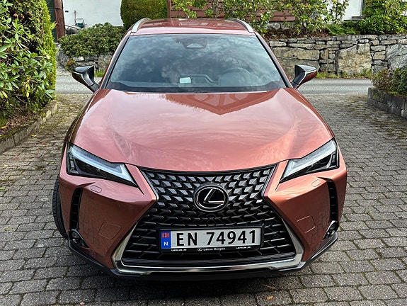 Lexus UX300e 3 of 12