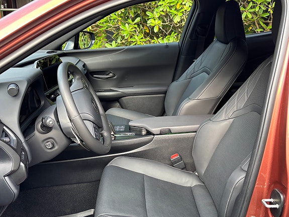 Lexus UX300e 8 of 12
