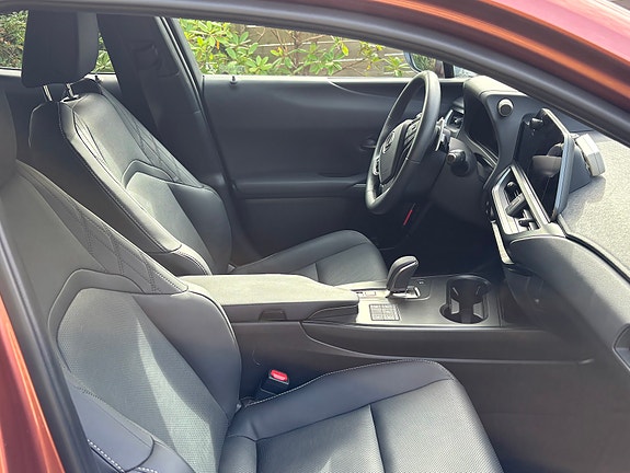 Lexus UX300e 10 of 12