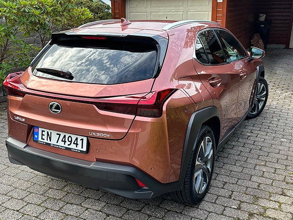 Lexus UX300e 5 of 12