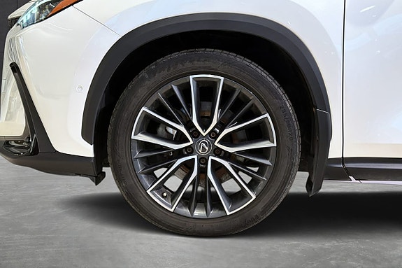 Lexus NX450h 18 of 19