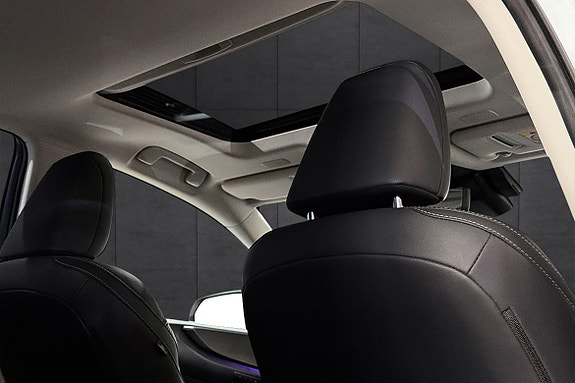 Lexus NX450h 19 of 19