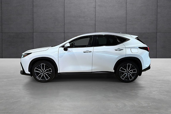 Lexus NX450h 2 of 19