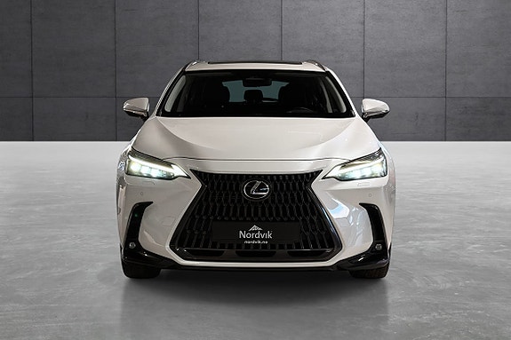 Lexus NX450h 8 of 19