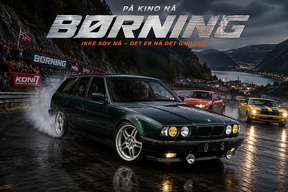 BMW 525tds 28 of 30