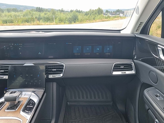 Hongqi E-HS9 13 of 30